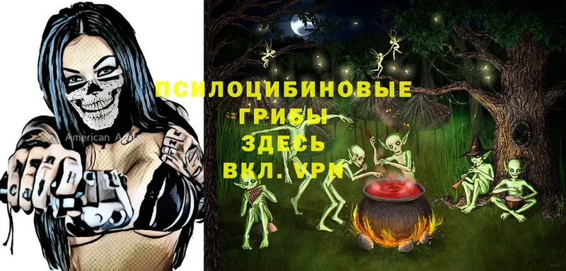 Псилоцибиновые грибы Magic Shrooms  мега ТОР  Зеленокумск 